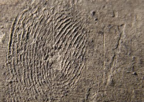 秦陵仰卧俑身上发现指纹印痕 古工匠的指纹？